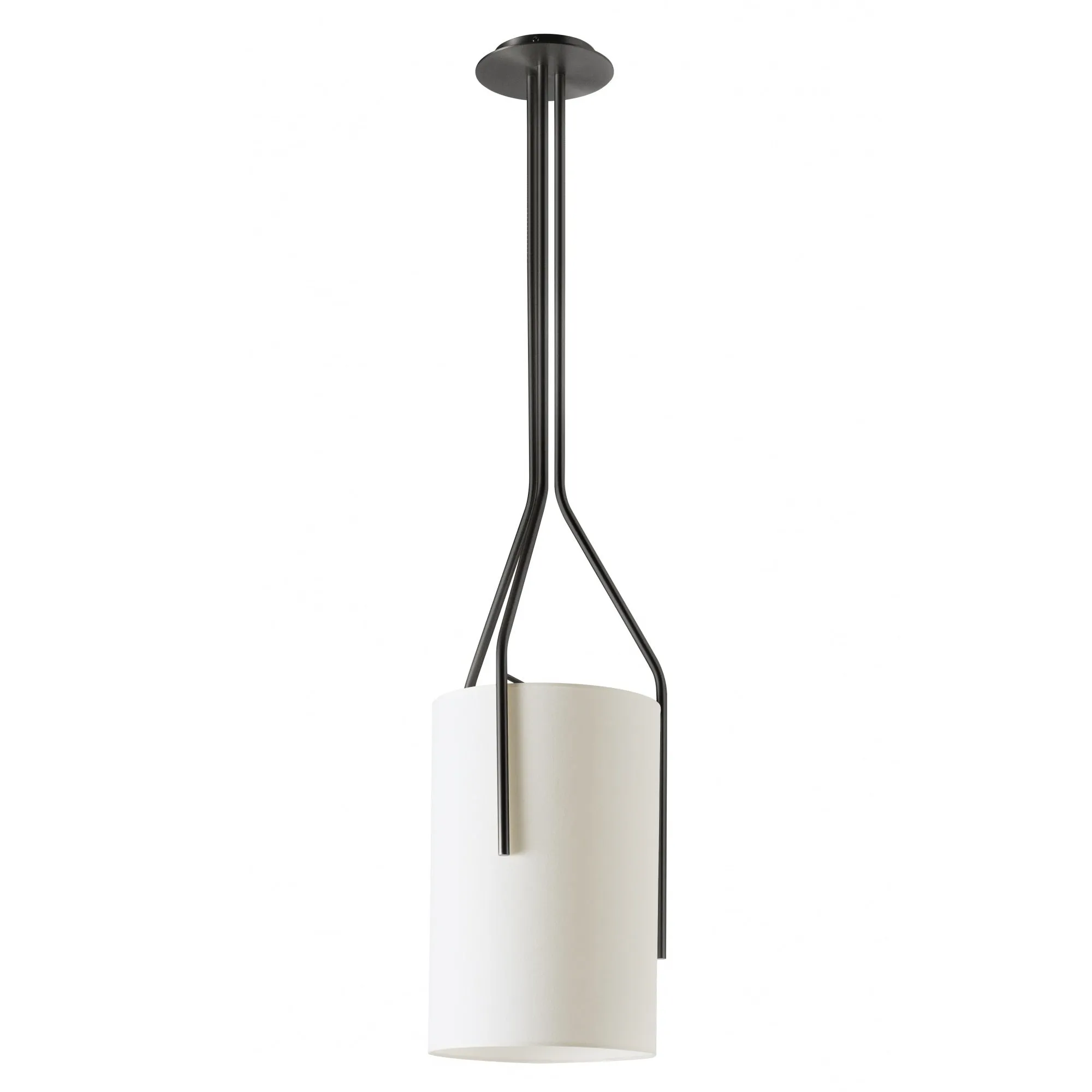 Arborescence Pendant Light