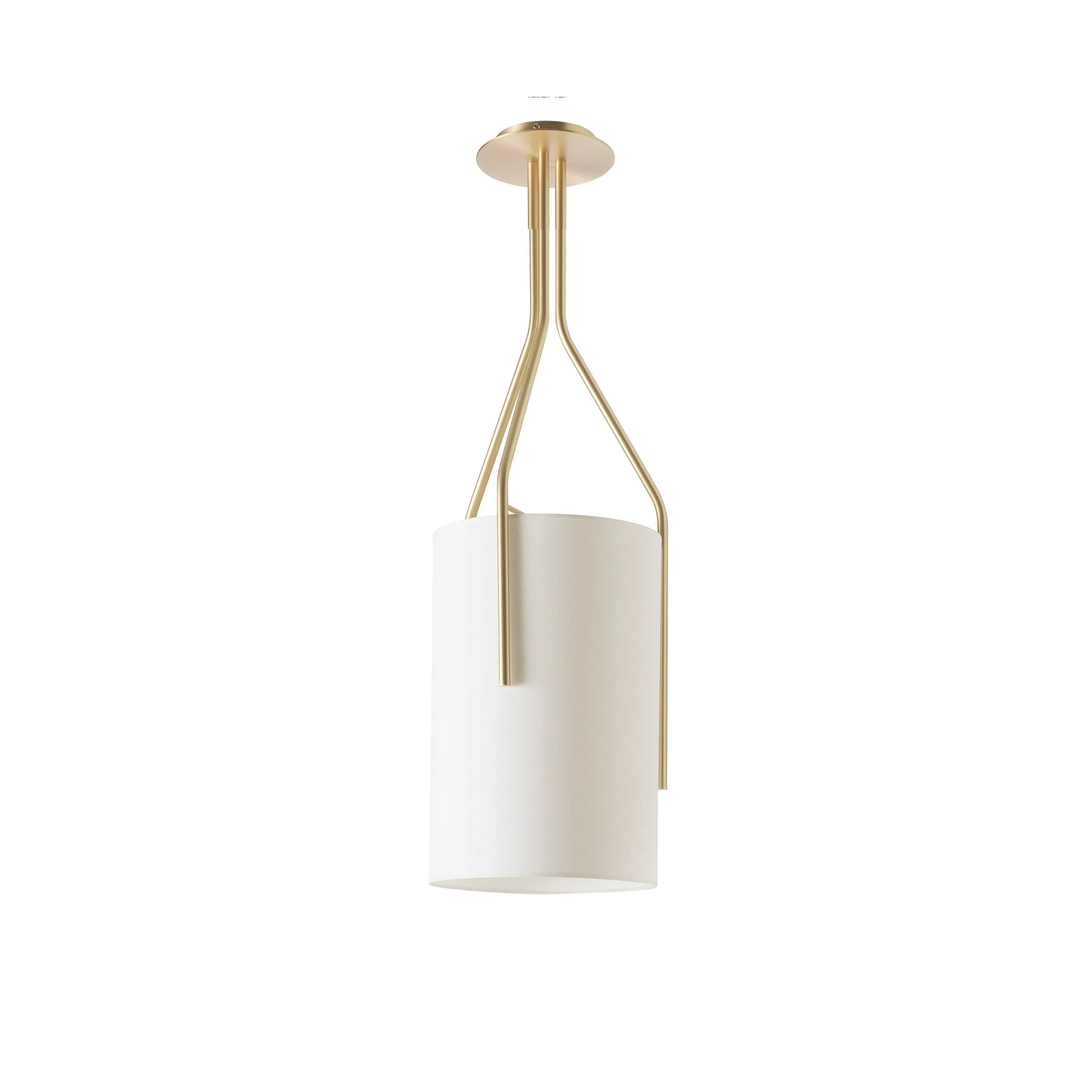 Arborescence Pendant Light