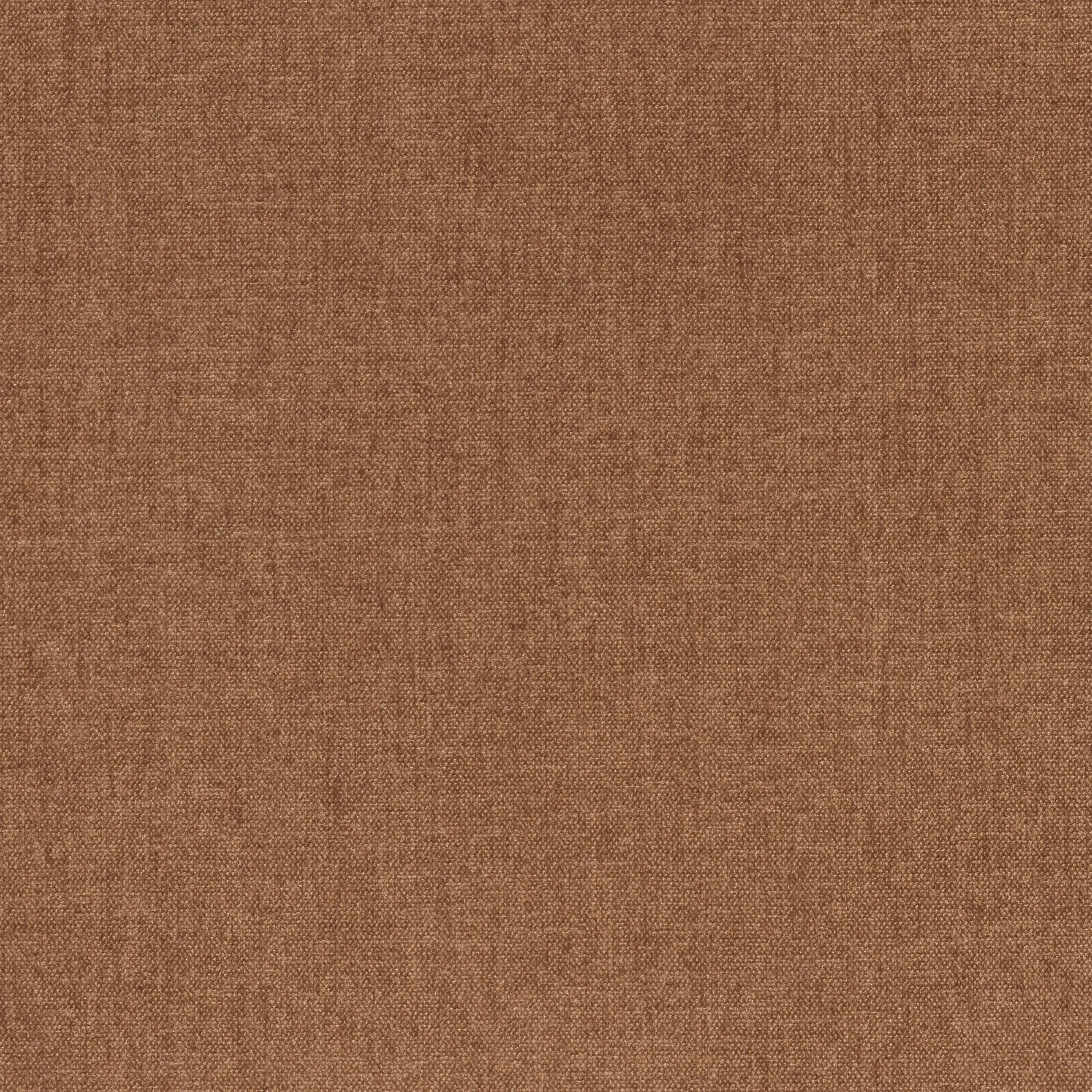 Beetle 3D Veneer Front Upholstered Dining Chair - Wood Base