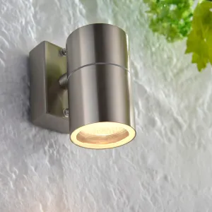 Canon Polished Stainless Steel Outdoor Downlighter Wall Light