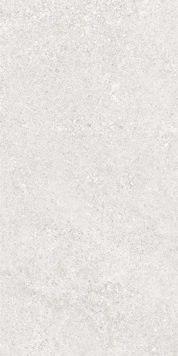 Cluny Silver 20mm Stone Effect Outdoor Porcelain Tile 50x100cm