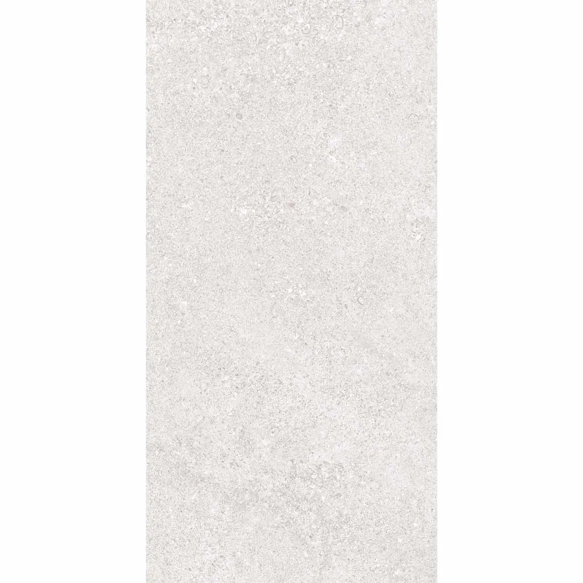 Cluny Silver 20mm Stone Effect Outdoor Porcelain Tile 50x100cm
