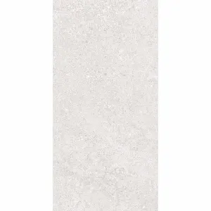 Cluny Silver 20mm Stone Effect Outdoor Porcelain Tile 50x100cm