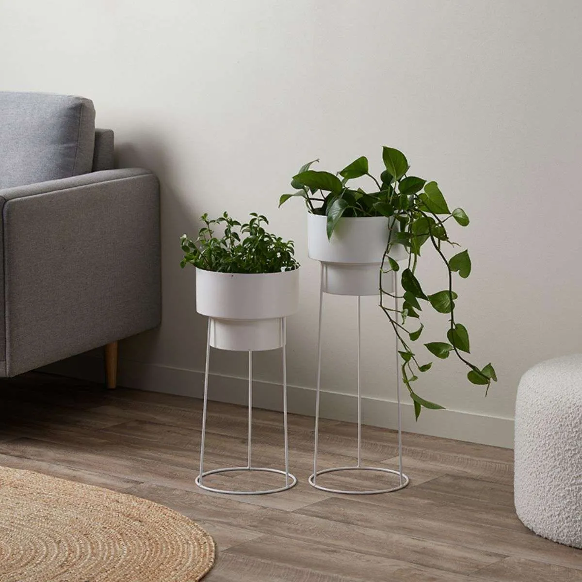 Constance Metal Plant Stand - White - Short Mocka