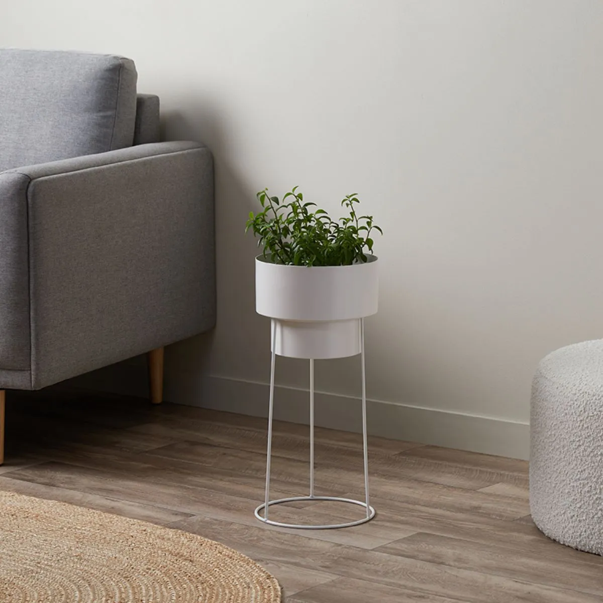 Constance Metal Plant Stand - White - Short Mocka
