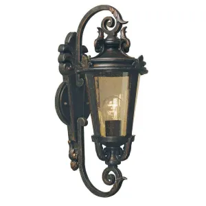 Elstead Baltimore Weathered Bronze Medium Outdoor Wall Light