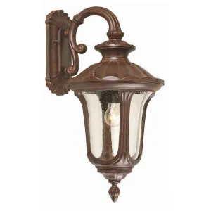 Elstead Chicago Bronze Medium Outdoor Downlighter Wall Light