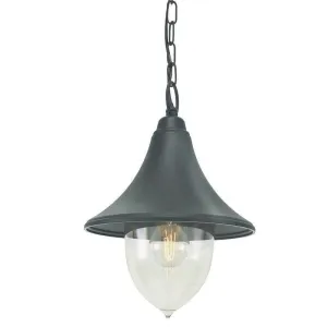 Elstead Firenze Black Outdoor Pendant Light