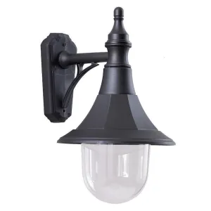 Elstead Shannon Black Outdoor Downlighter Wall Light