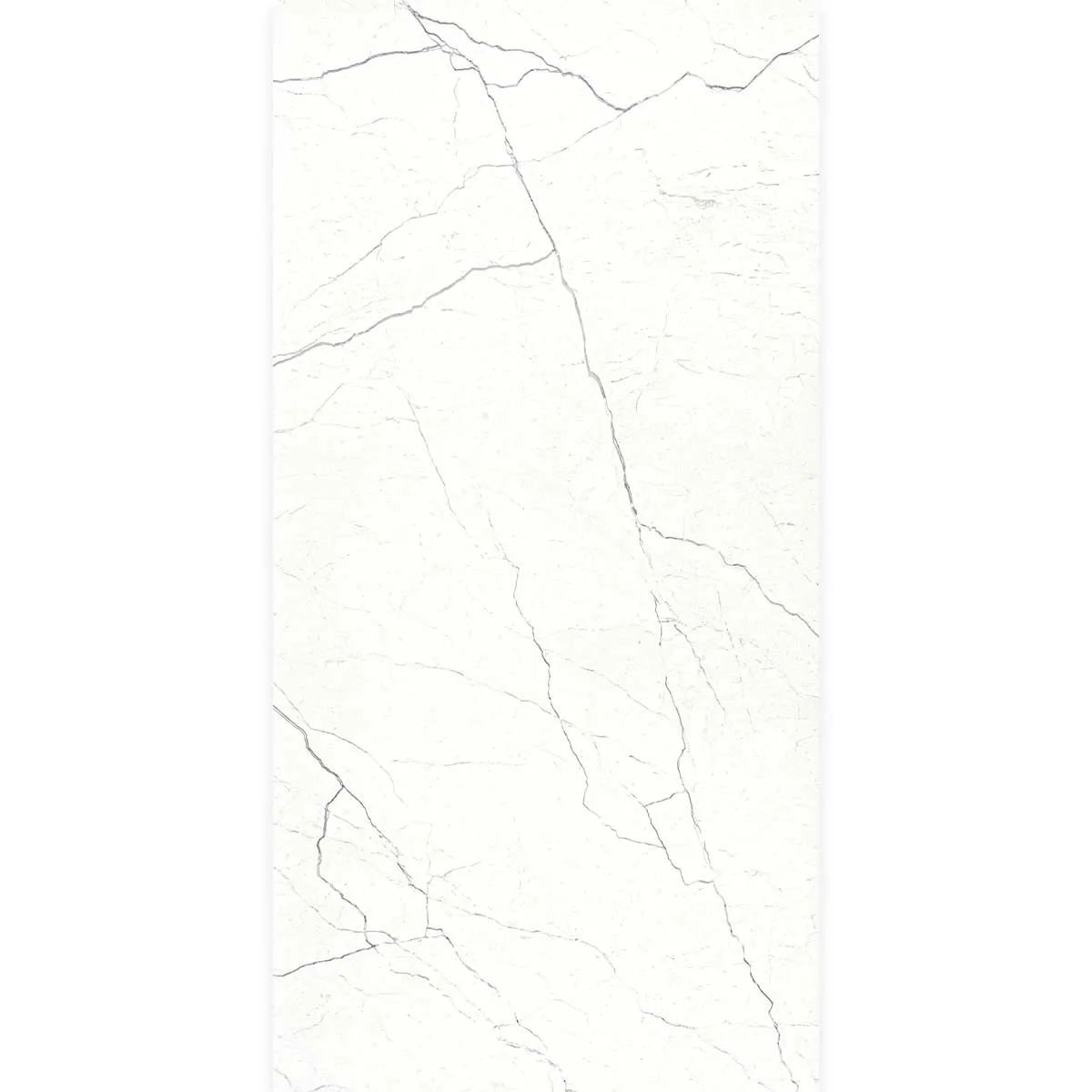 Florentina Marble Cortina White 3D Honed Porcelain Tile 60x120cm
