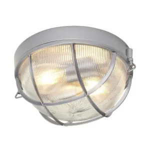 Hinkley Marina Silver Outdoor Porch Ceiling  Light