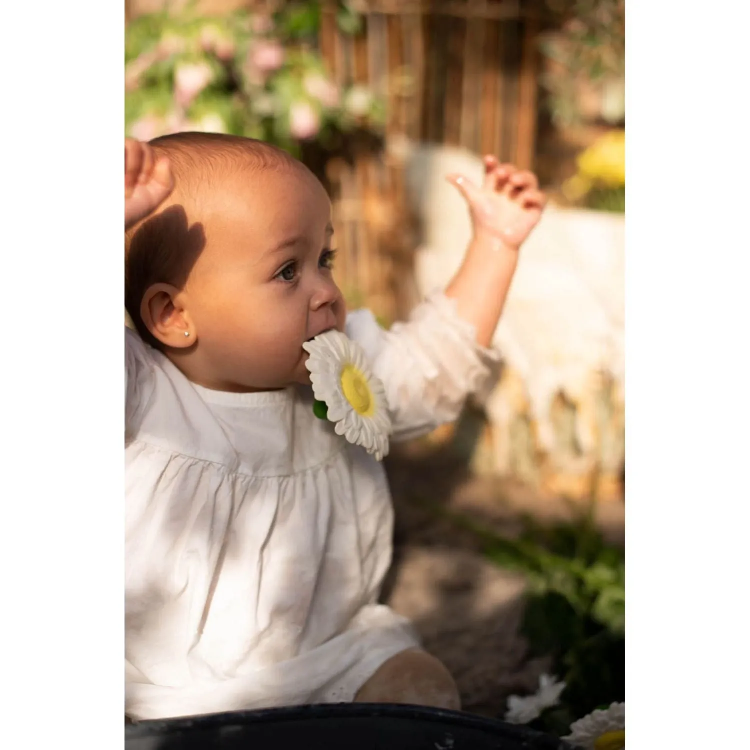 Oli & Carol Margarita the Daisy Teether