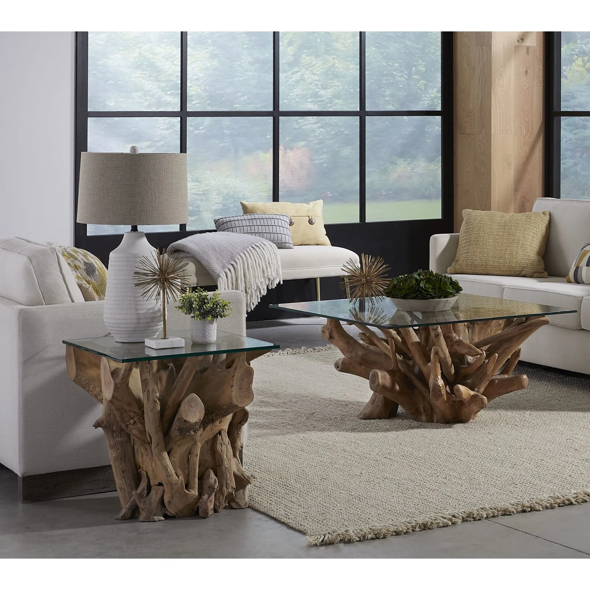 One Solid Teak Root Glass Top Coffee Table Modus