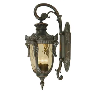 Philadelphia Bronze Large Outdoor Downlighter Wall Light
