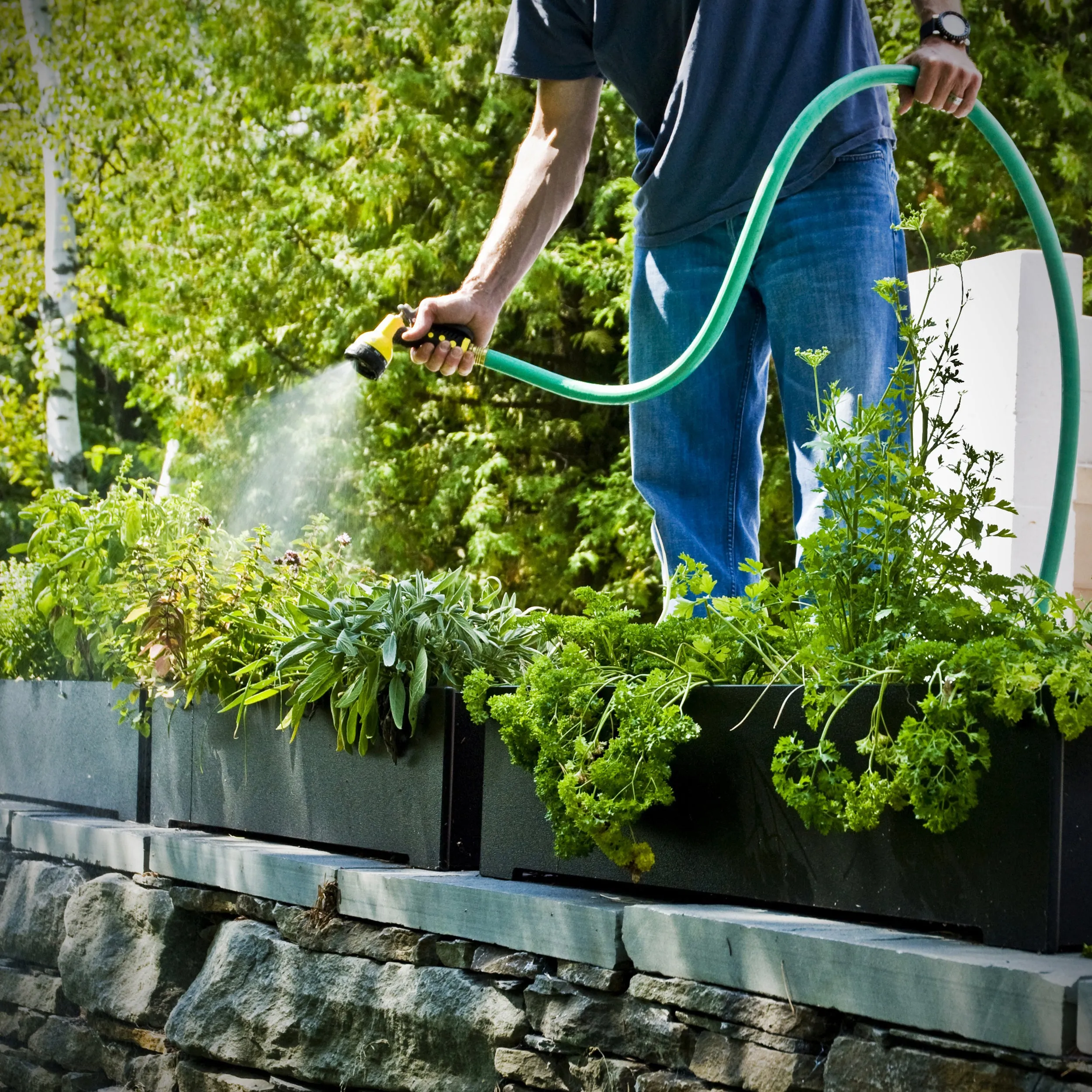 Rectangle Planter