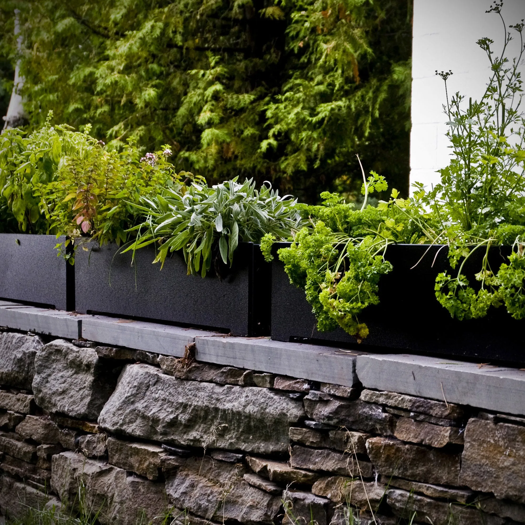 Rectangle Planter