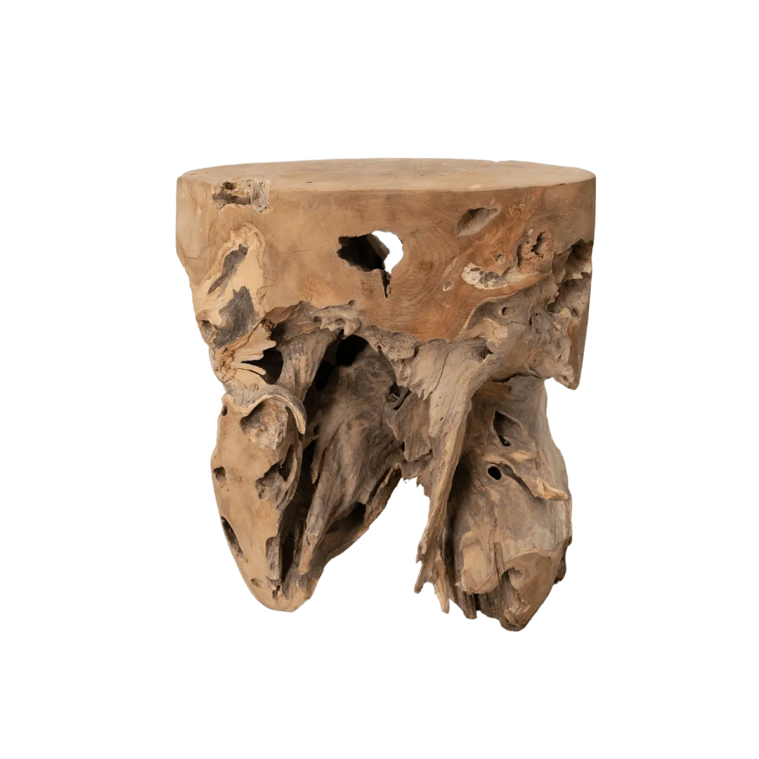 Root Stool Zoco Home