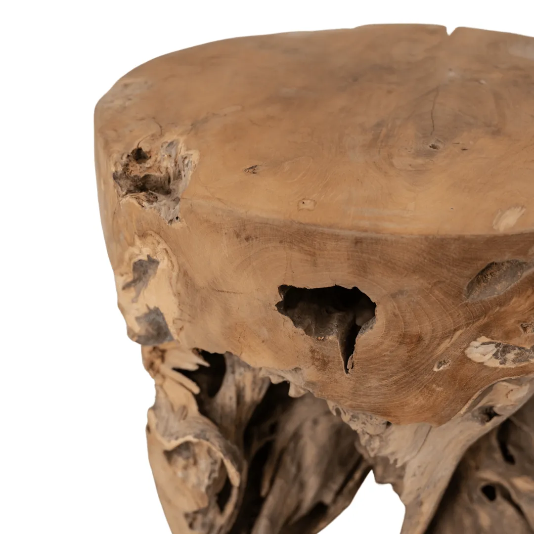 Root Stool Zoco Home