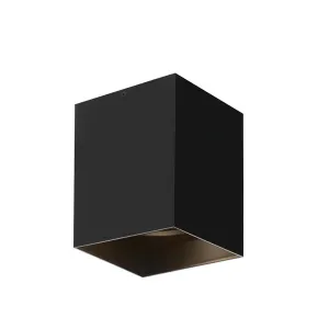 Sean Lavin Exo 6 Flush Mount