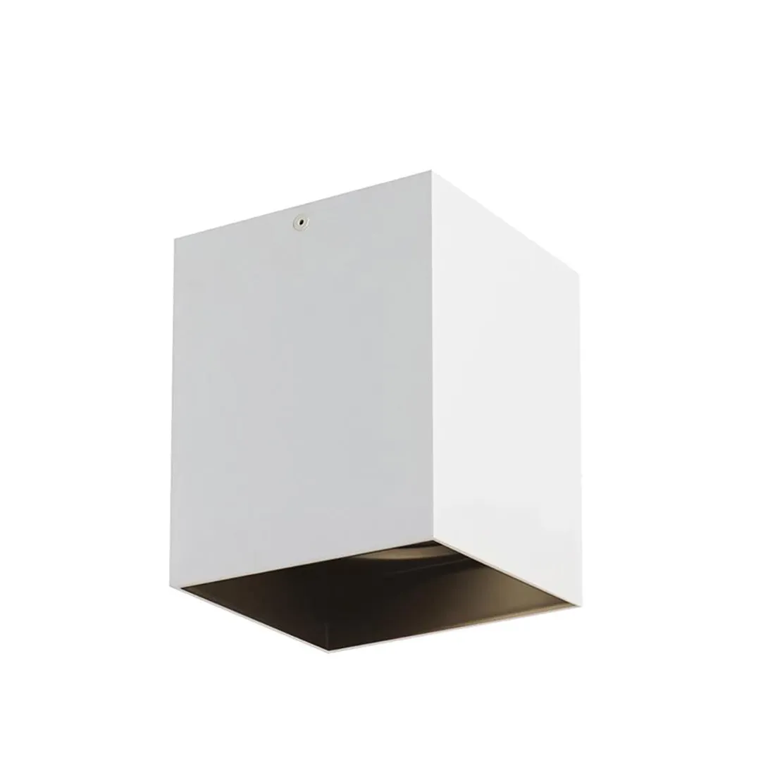 Sean Lavin Exo 6 Flush Mount