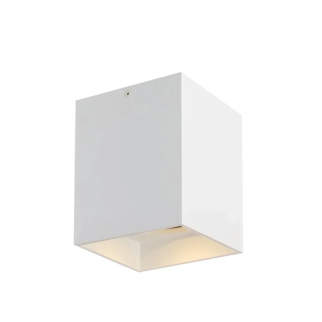 Sean Lavin Exo 6 Flush Mount