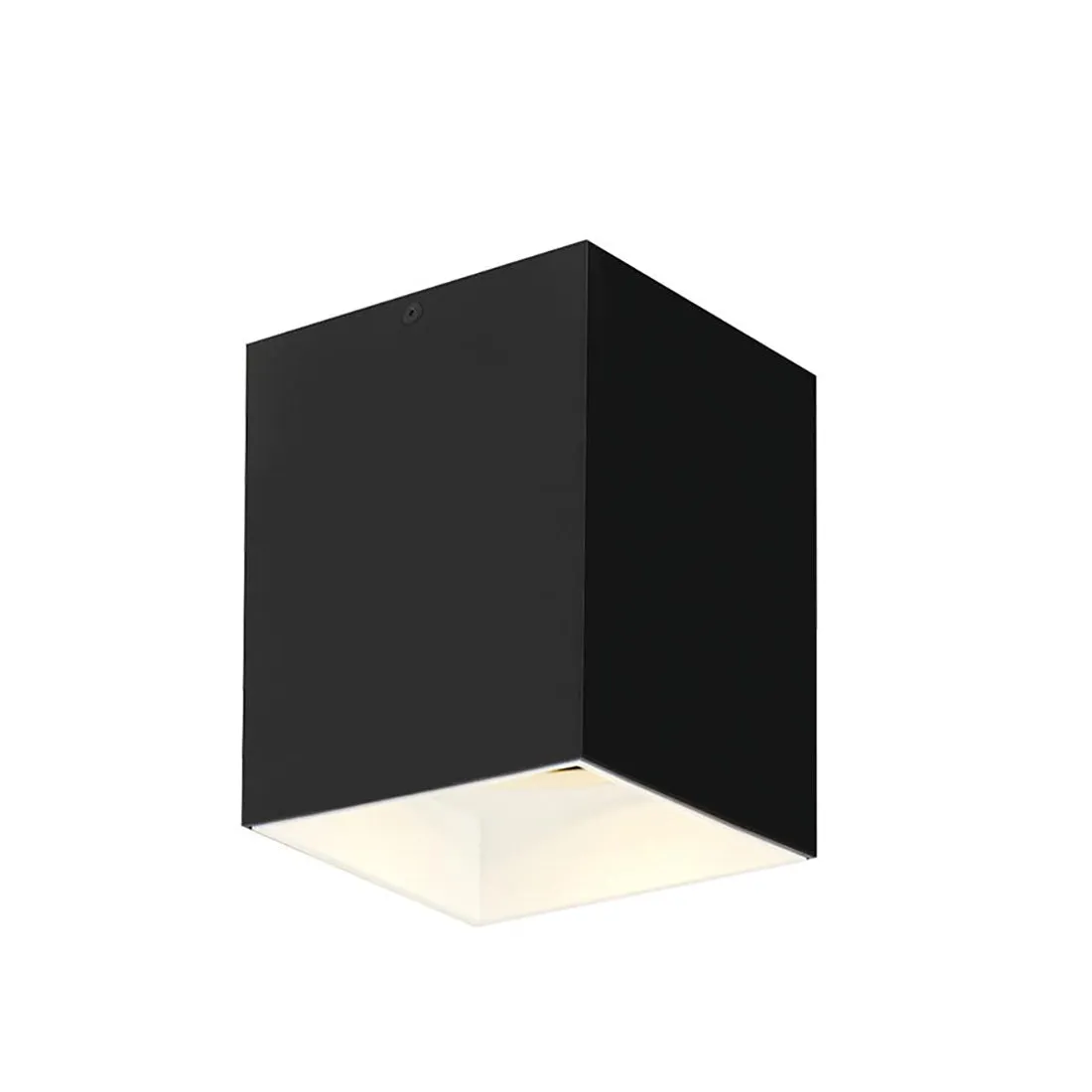 Sean Lavin Exo 6 Flush Mount