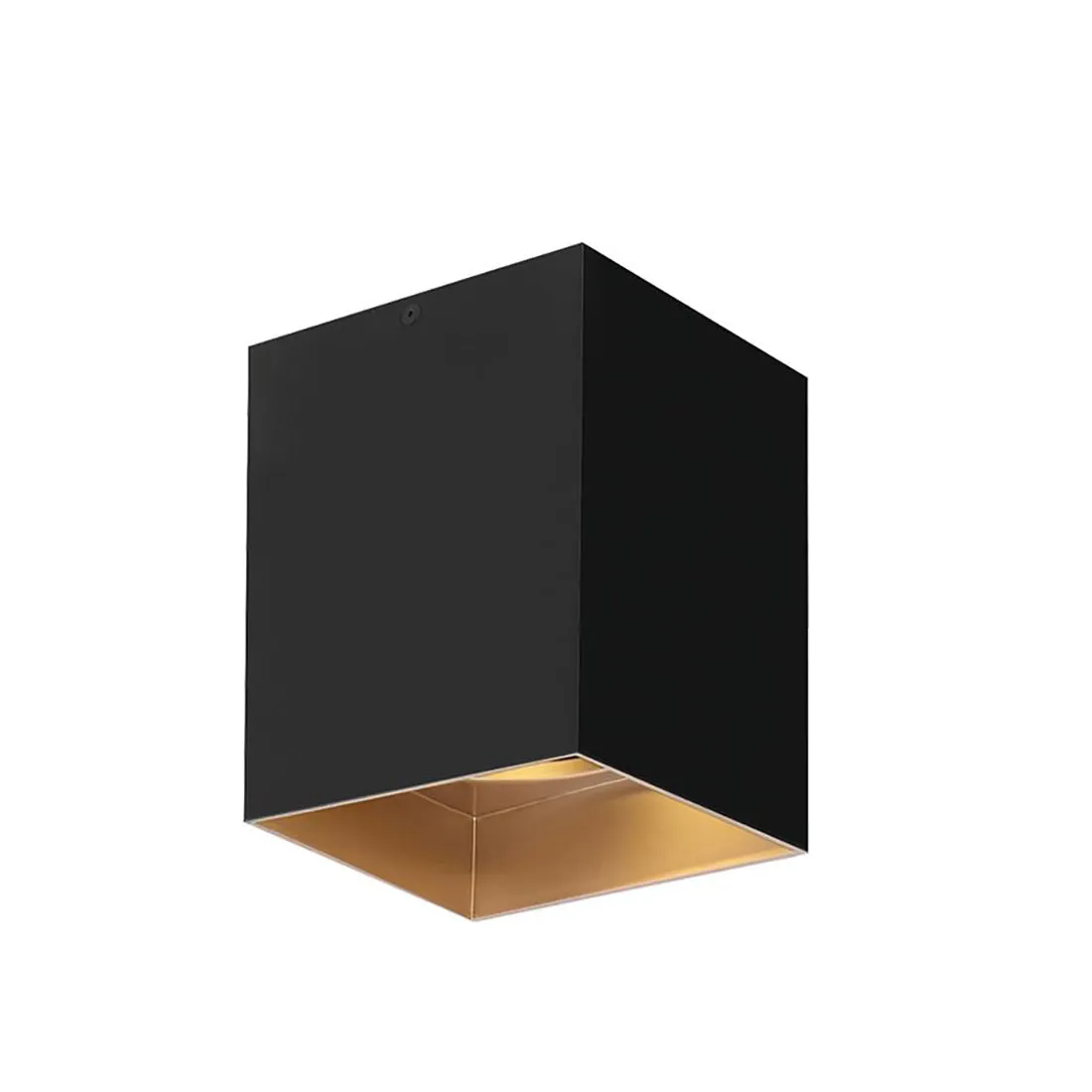 Sean Lavin Exo 6 Flush Mount