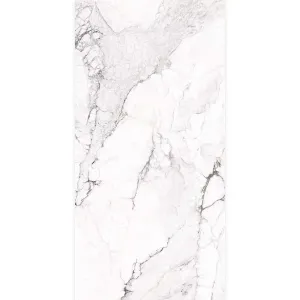 Sublime Iceberg Marble Effect Porcelain Tile 60x120cm Polished