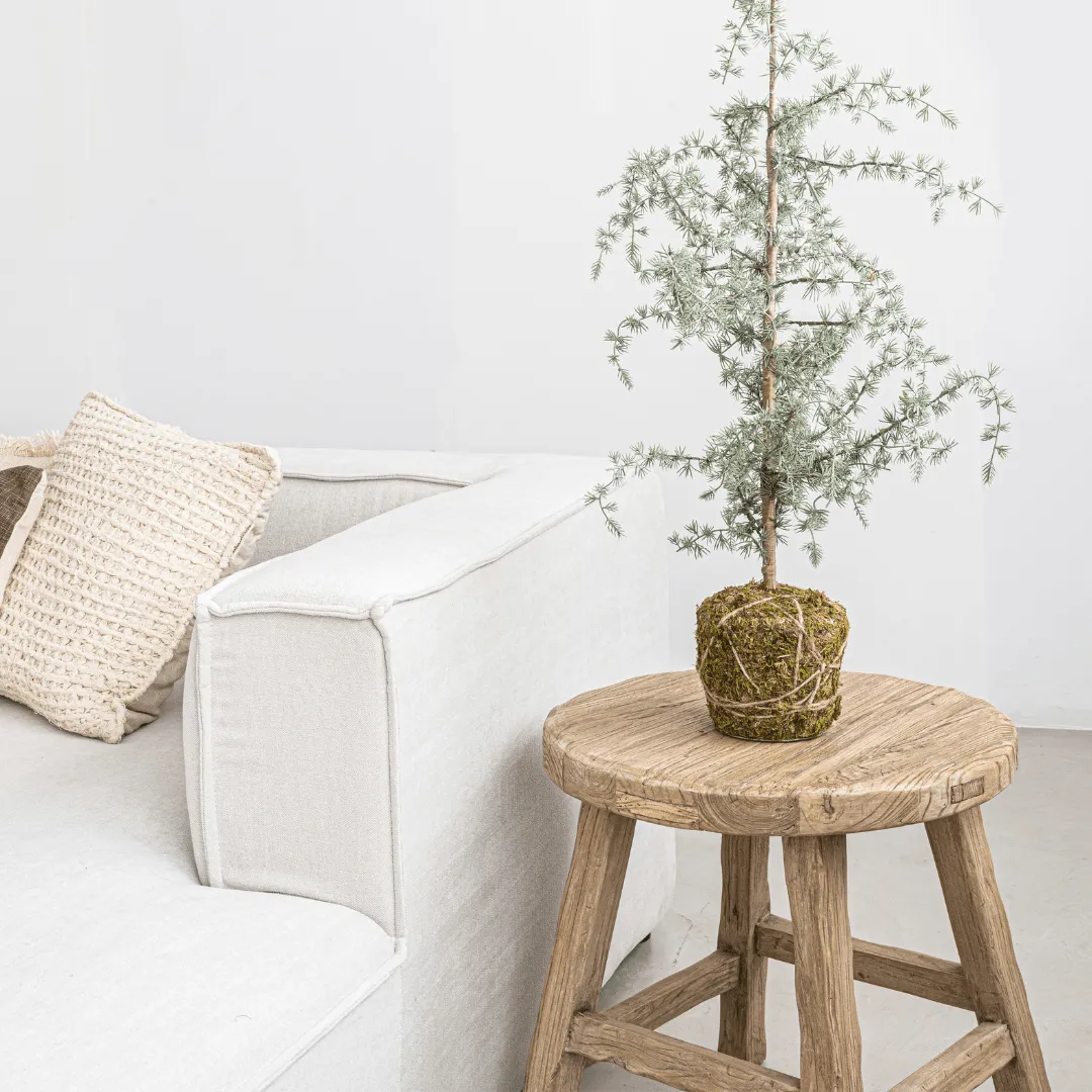 Vintage Elm Wood Round Coffee Table | 50cm Zoco Home